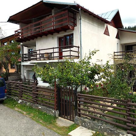 Vila Nik บุชเตนี ภายนอก รูปภาพ