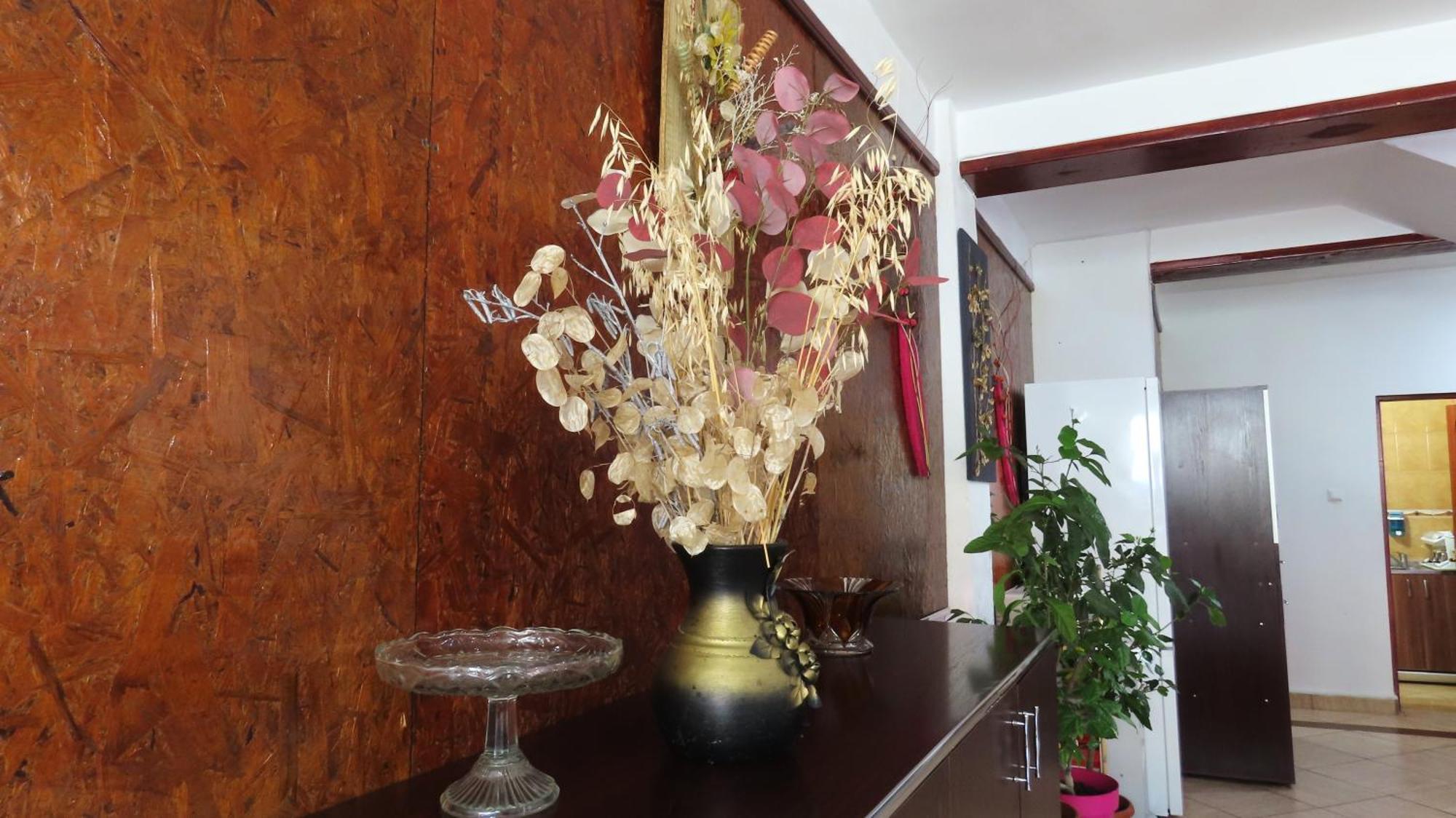 Vila Nik บุชเตนี ภายนอก รูปภาพ